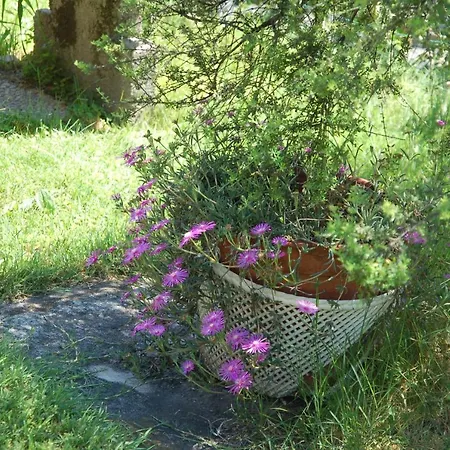 Il Poietto Apartament *