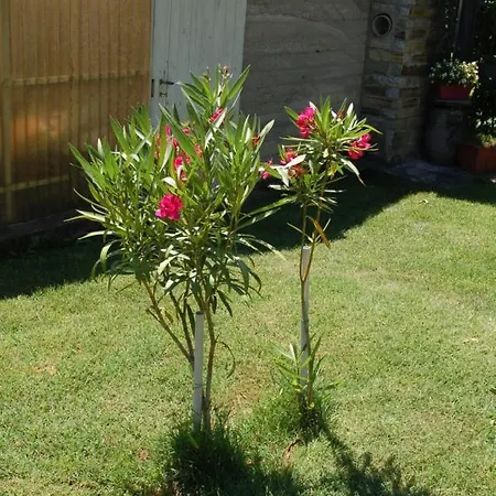 Il Poietto Apartamento Borgone Susa