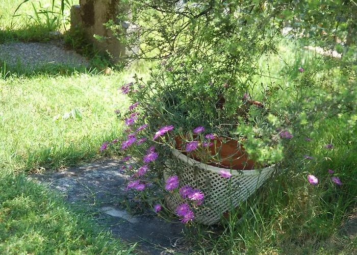 Il Poietto Apartmán *