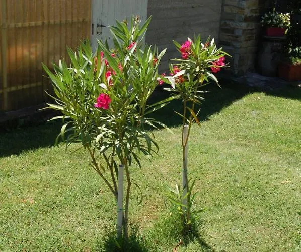 Il Poietto Apartmán Borgone Susa